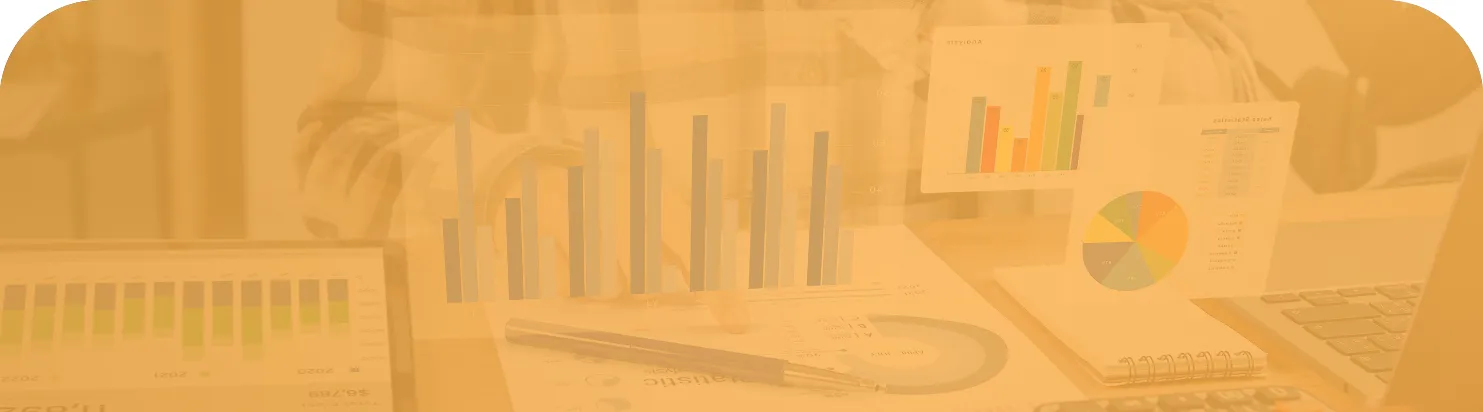 Accounting Management System